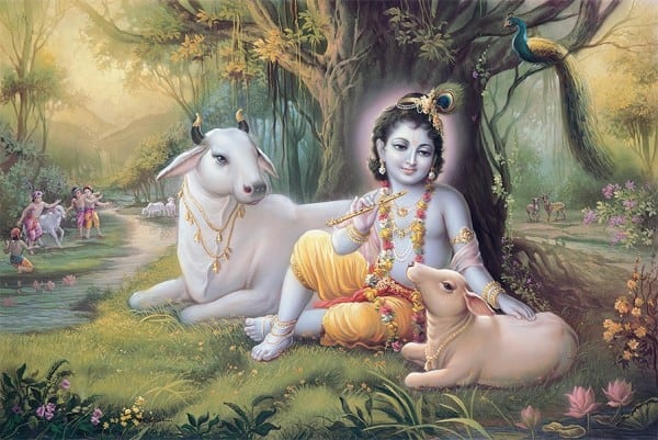 Krishna significado